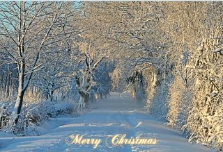 圣诞节冬天背景风景