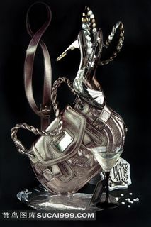 奢华女士包包和高跟鞋图片素材