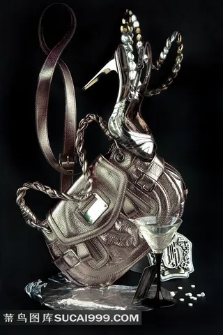 奢华女士包包和高跟鞋图片素材