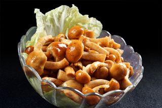 蘑菇香菇金针菇杂菇菌类美食素菜