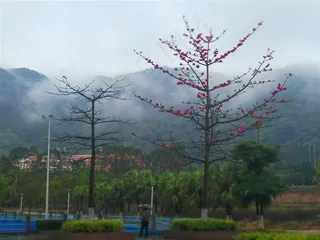 翠屏掩霭深几重