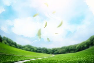 高清创意绿色环保背景图片公益海报展板宣传PSD分层平面设计素材