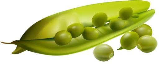 豌豆免抠(750x303)