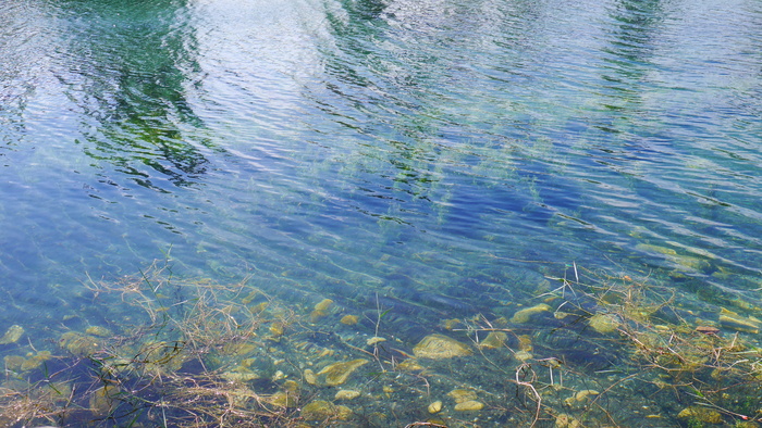 碧绿色湖水水草清澈见底