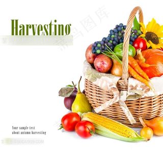 篮筐内的瓜果蔬菜水果图片