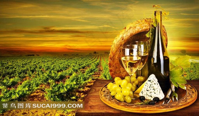 白葡萄酒图片下载