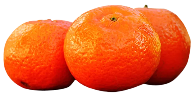 橘子免抠素材 (45)