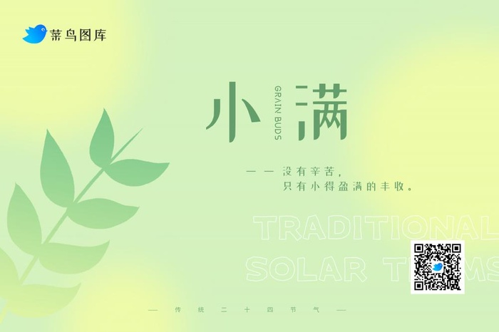 小满清新绿色简约banner