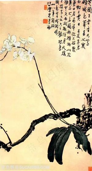 国画名家作品-徐悲鸿的铁锚兰 国画名家作品-徐悲鸿的铁锚兰