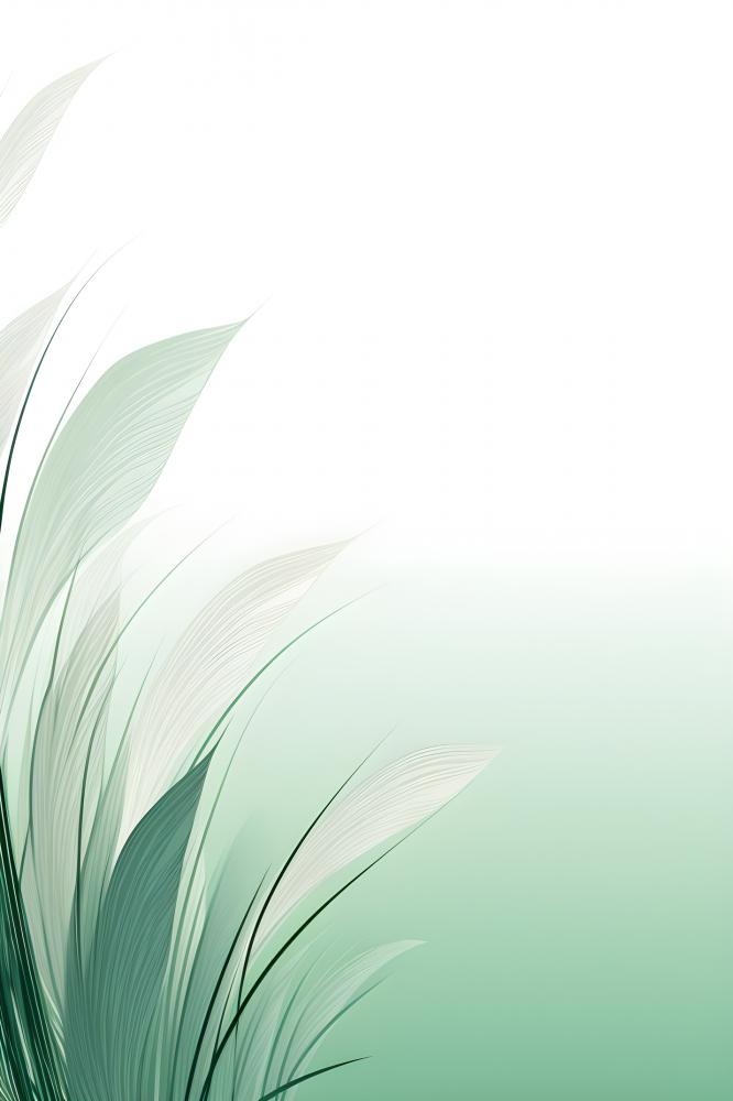 清新大气绿色芦苇羽毛背景