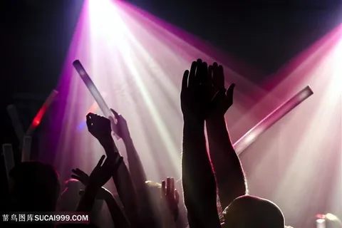 演唱会狂欢的人群高清图片