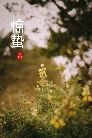 2020年惊蛰节气图片