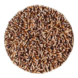 黑小麦超市商品白底图免抠实物摄影png格式图片透明底