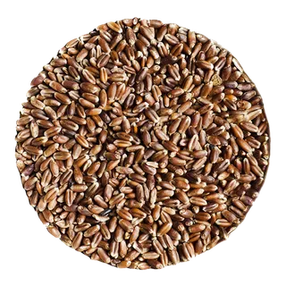 黑小麦超市商品白底图免抠实物摄影png格式图片透明底