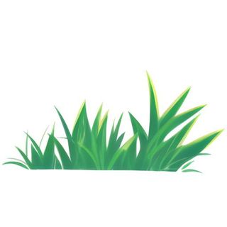 春天草丛绿叶免抠