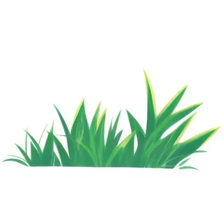 春天草丛绿叶免抠