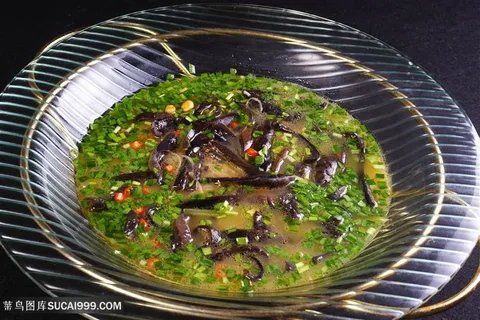 金汤大乌参中华美食摄影图 金汤大乌参中华美食摄影图