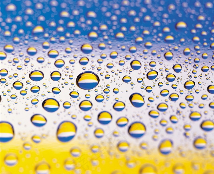 水滴露珠素材图片