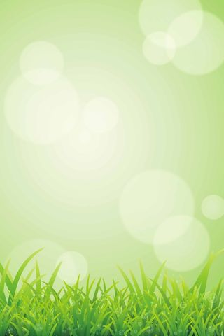 绿色背景 绿色海报背景