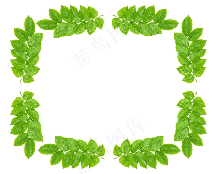围成框的绿色树叶