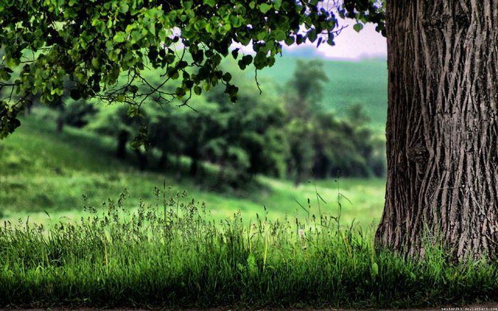 图片设计素材背景炫光背景