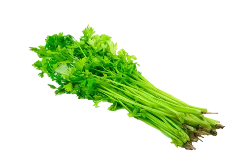 小洋洋素材 (84)超市商品白底图免抠实物摄影png格式图片透明底