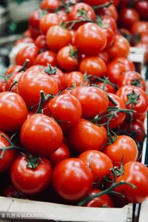 西红柿番茄摄影素材