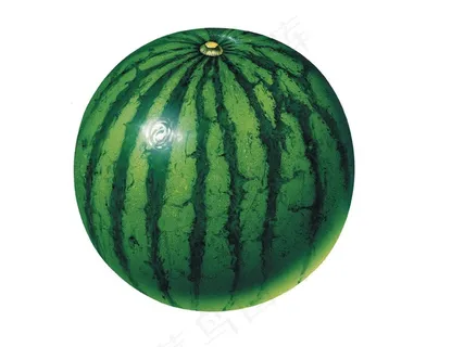 白色背景中的绿皮西瓜