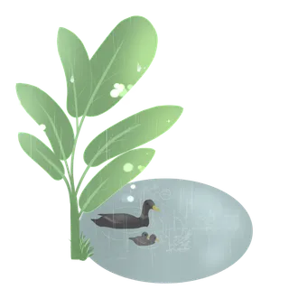  二十四节气谷雨鸭子创意插画