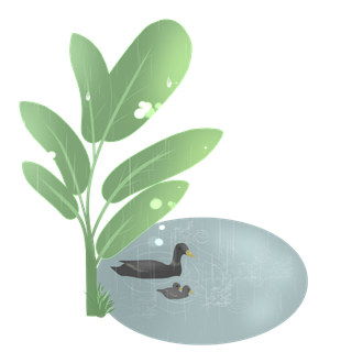  二十四节气谷雨鸭子创意插画