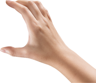 手势右手握住免抠png