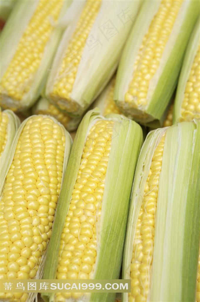 新鲜蔬果玉米棒