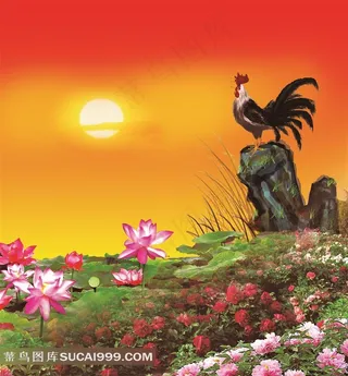 公鸡报晓荷花月季花岩石太阳图片