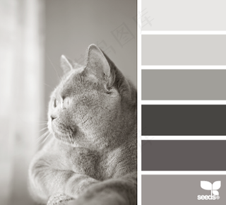 动物配色色卡色彩搭配