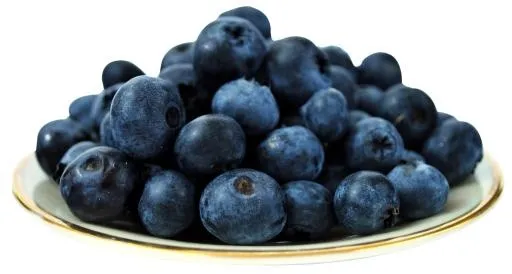 蓝莓 PNG免抠(1460x783)