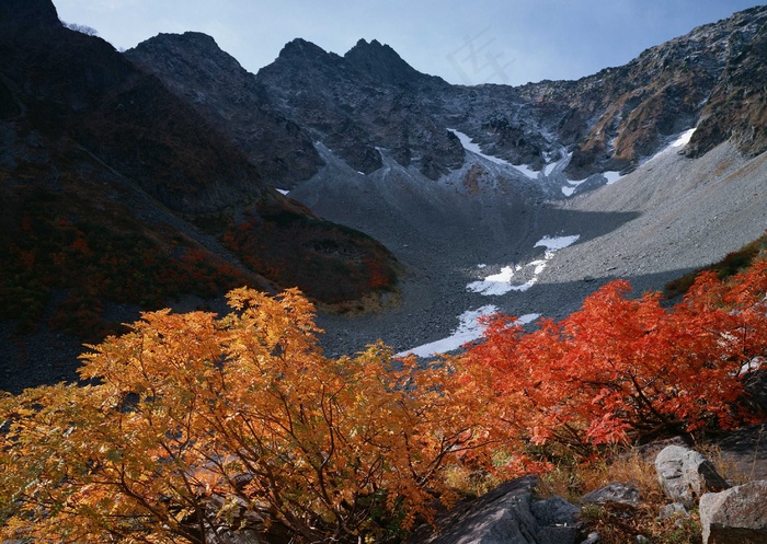 绿树山水 104