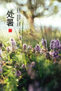 农历处暑节气图片 农历处暑节气图片