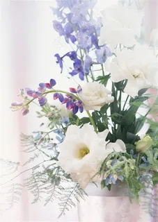 紫色碎花白色玫瑰现代简约插花装饰室内家居图片素材 紫色碎花白色玫瑰现代简约插花装饰室内家居图片素材