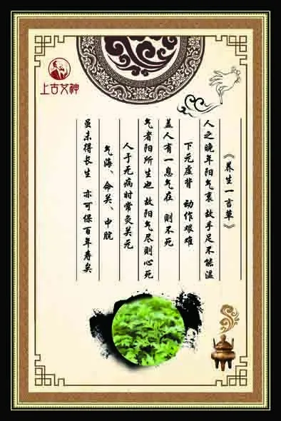 艾灸养生海报psd模版下载
