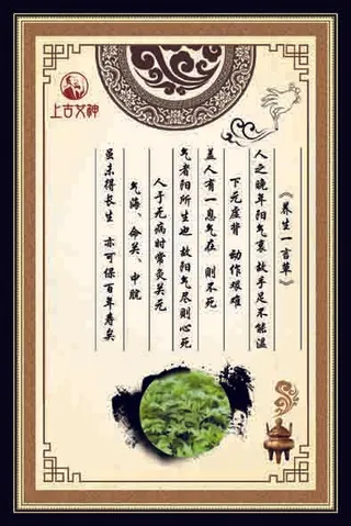 艾灸养生海报