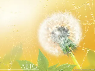 图片素材背景光影艺术