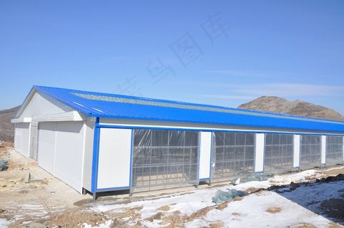 蓝天下的彩钢房建筑