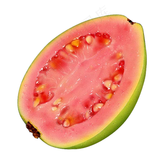 番石榴免抠素材 (6)