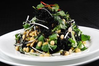 LCSC2779四季发菜  16