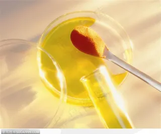 实验室设备-培养皿中的黄色溶液