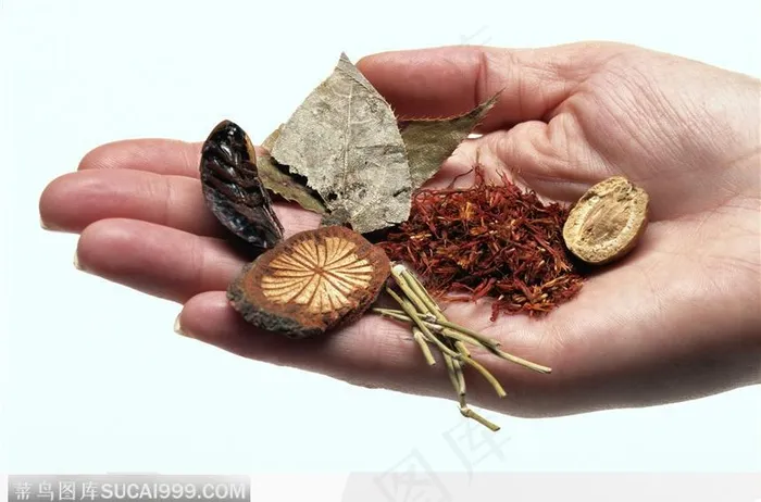 手中的中草药