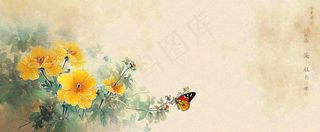 温馨纹理橙色花朵鲜花蝴蝶意境唯美，中国风