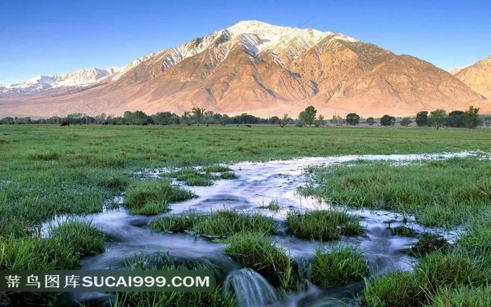加利福尼亚沼泽雪山美景
