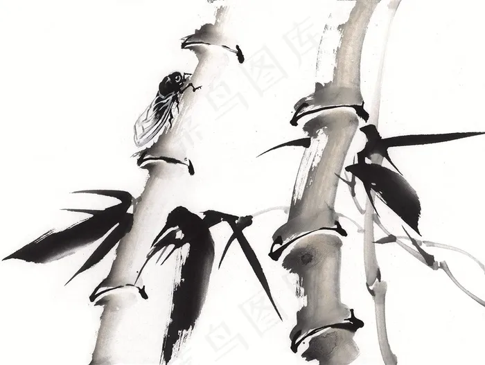 昆虫花草高清素材