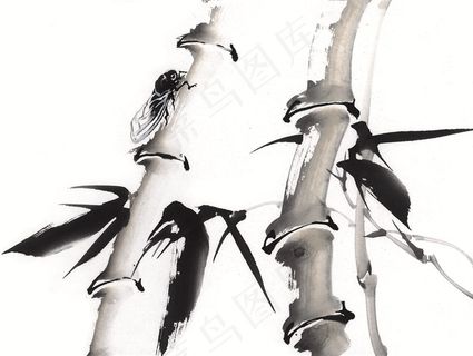 昆虫花草高清素材